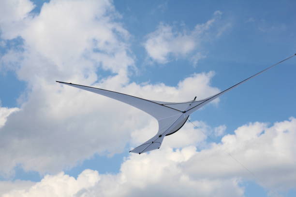 A kite in the form of a single large white bird.