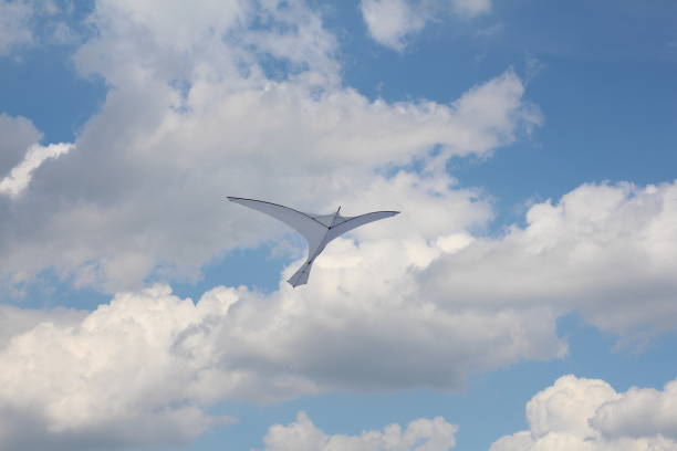 A kite in the form of a single large white bird.