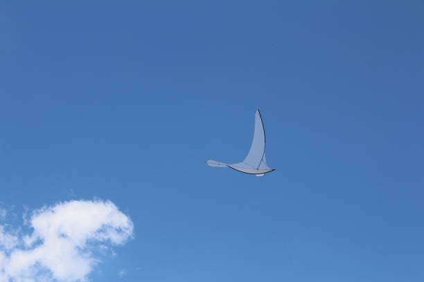 A kite in the form of a single large white bird.
