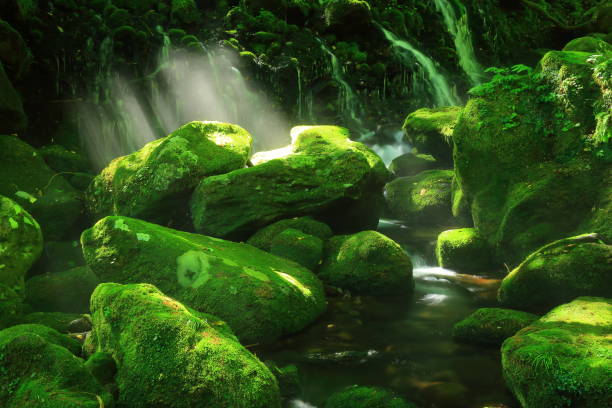 akita präfektur sommer-wasserfall - spring waterfall japan landscape stock-fotos und bilder
