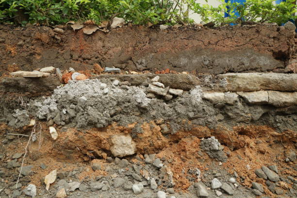 istock erosion ground with plant on top 1152776023
