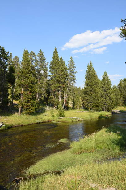istock overview prairie and rivers in Yellowstone National Park 1152784100