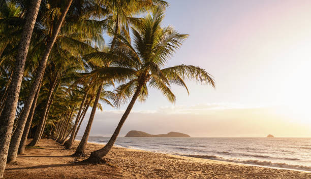 istock Panoramic view of an empty tropical beach 1152788846