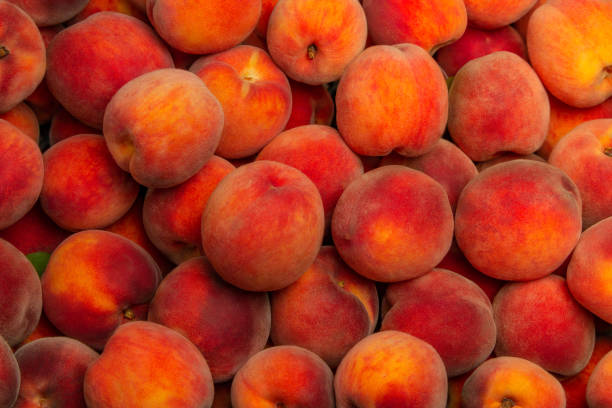 istock Peaches - broken ripe fruits. Background with ripe peaches. 1152788953