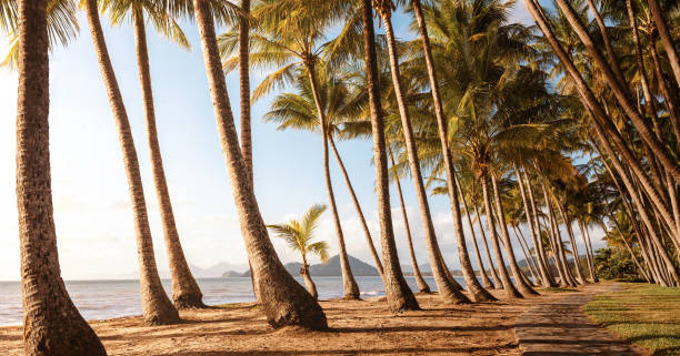 istock Panoramic view of an empty tropical beach 1152789326
