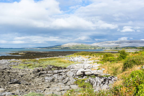 istock Burren stony landscape in Ireland 1152790035