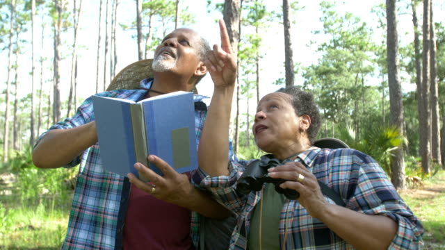 Senior African-American couple bird watching