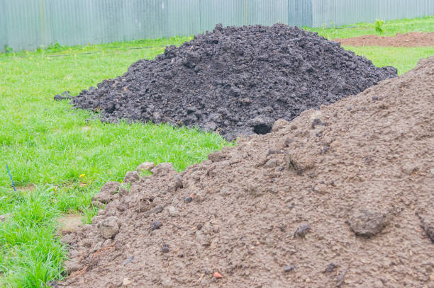 istock Black soil piles in the backyard for gardening 1152793643