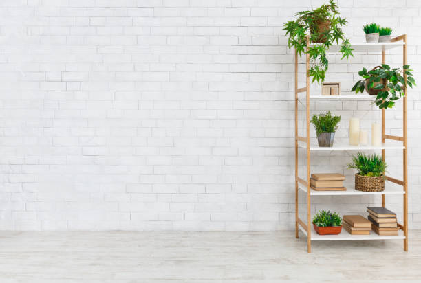 istock Decorative rack with house plants and books, copy space 1152794688