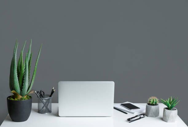 Modern work place concept Office desk with laptop and house plants on grey background, copy space. Modern work place concept creative space photos stock pictures, royalty-free photos & images