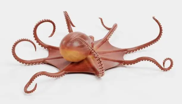 Realistic 3D Render of Giant Pacific Octopus