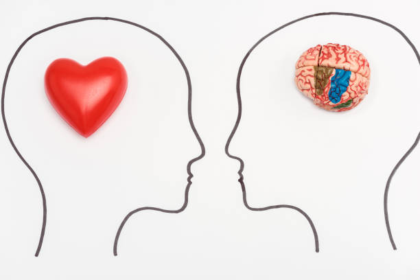 istock heads with human brain and red heart isolated on white 1152795029