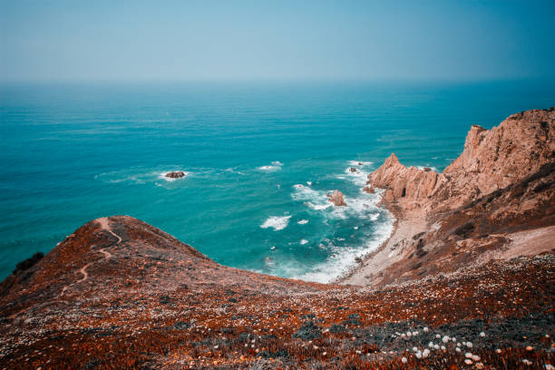 Ocean and rocky cliffs covered with flowers and grass. Cabo da Roca - the westernmost point of the European continent.