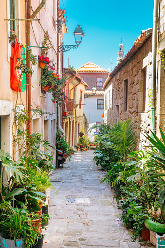 A narrow street, immersed in flowers and plants in the Portuguese city of Porto, passing between the houses, made in the colonial Portuguese style. Blue sky on the background.