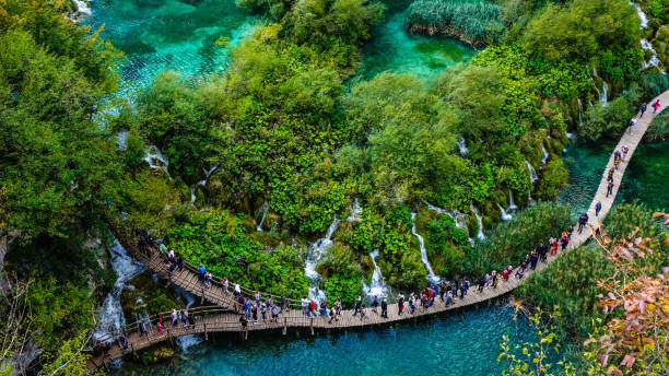 istock Aerial view of lower lakes in Plitvice 1152806995