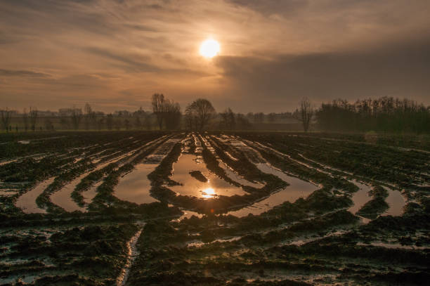 istock Sunrise over a flooded land 1152807543