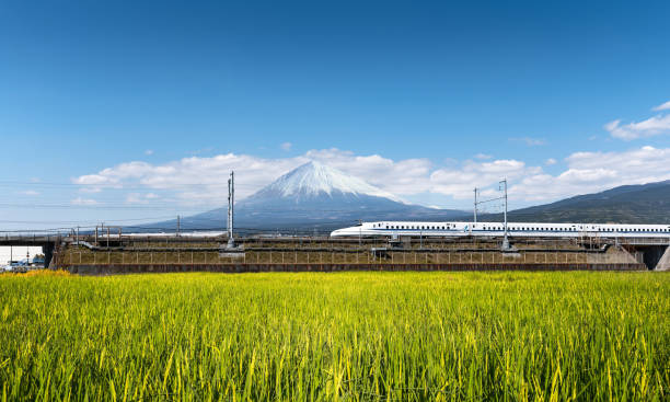 Shinkansen or Bullet train with rice field and Fuji mountain background stock photo