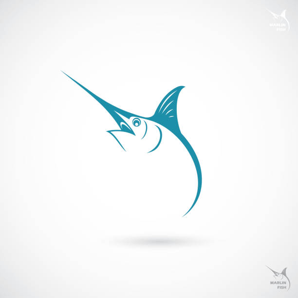 말린 물고기, 표시-벡터 일러스트 - swordfish stock illustrations