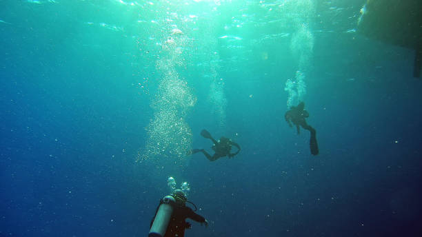 istock Underwater life. Diving in peaceful ocean 1152811778