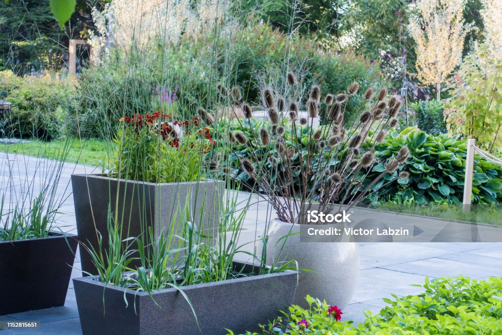 Beautiful small garden with plants and flowers View of the Landscaped classic beautiful small garden, with plants and flowers Back Yard Stock Photo