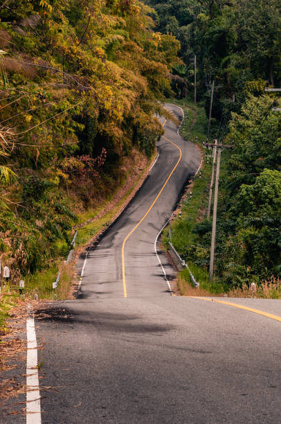 istock Winding mountain asphalt road through the autumn forest. 1152815947