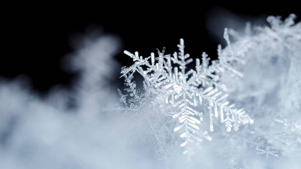 istock snowflake, little snowflake on the snow 1152825902