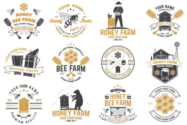 illustrazioni stock, clip art, cartoni animati e icone di tendenza di set di honey bee farm badge. vettore. concetto per stampa, timbro o tee. design tipografico vintage con ape, pezzo a nido d'ape, alveare e silhouette a base di miele. progettazione per l'azienda agricola di api mellifere - honey dipper