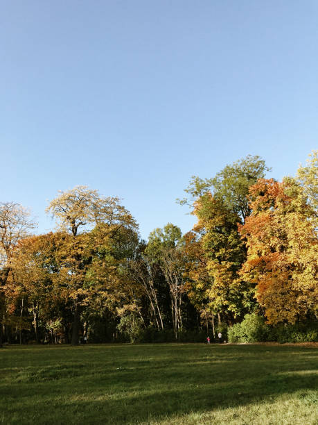 istock autumn landscape, colorful leaves, selective focus 1152829467