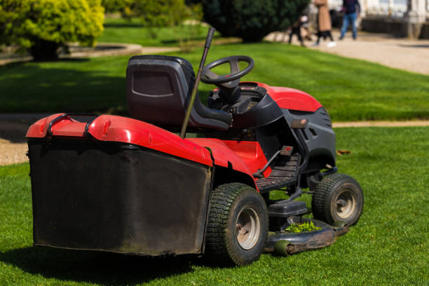 istock Old Lawn mower cutting green grass in backyard.Gardening background. 1152829563