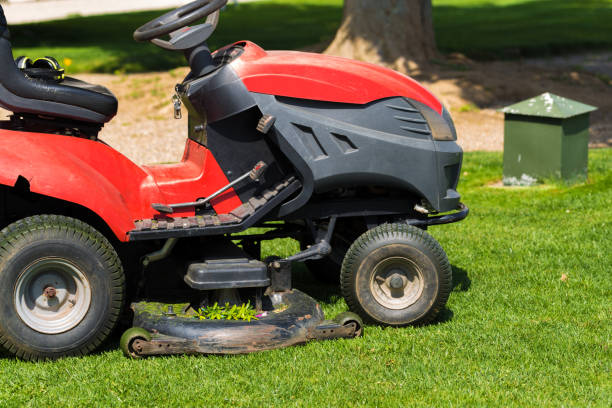 istock Old Lawn mower cutting green grass in backyard.Gardening background. 1152830211
