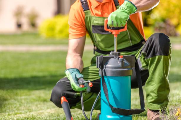 Insecticide Spraying Equipment Insecticide Spraying Equipment. Caucasian Garden Worker and the Garden Maintenance. apply fertilizer stock pictures, royalty-free photos & images