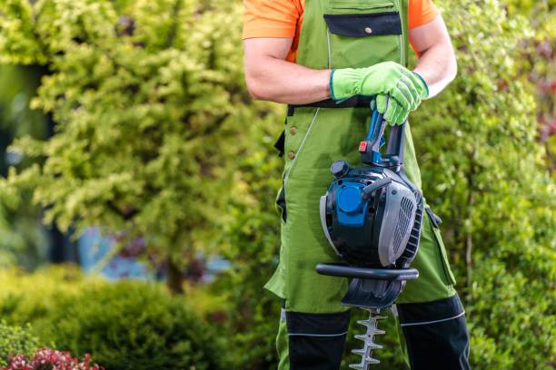 istock Gardener with Gasoline Trimmer 1152831208