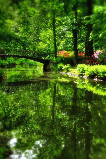 istock Szczytnicki Park in Wroclaw 1152833233