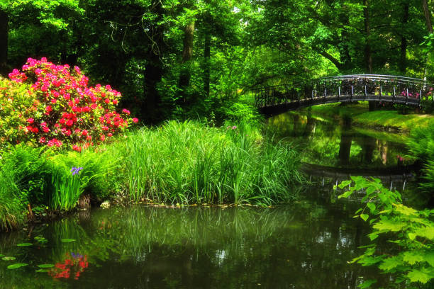 istock Szczytnicki Park in Wroclaw 1152834420