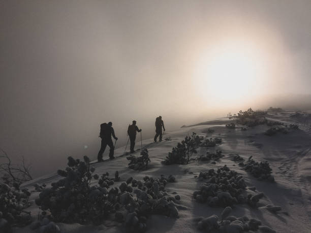 istock Climbers' silhouettes. Majestic mountain landscape 1152834452