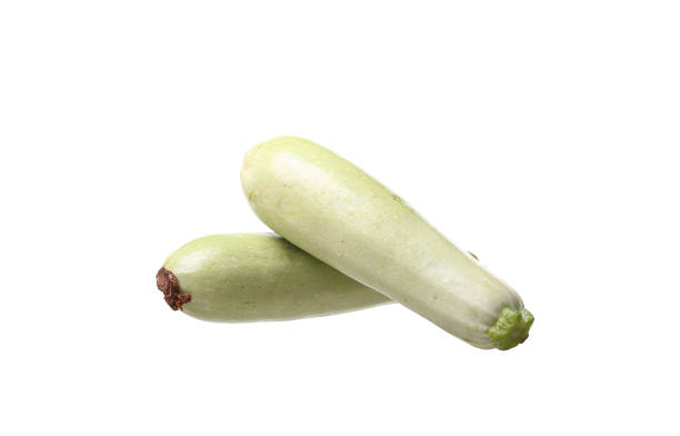 fresh vegetable marrow. isolated on white - zucchini squash marrow squash vegetable imagens e fotografias de stock