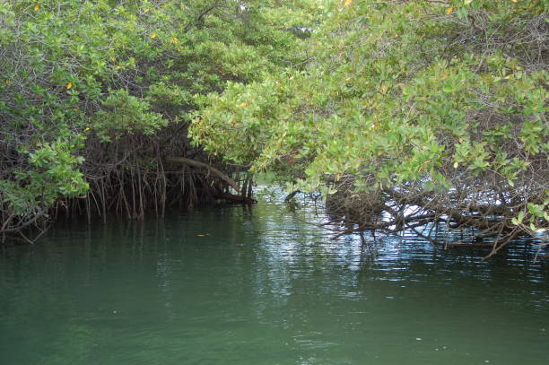 istock Landscape view of Sanc Cristobal island, Galapagos 1152840710