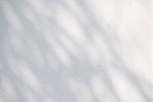 istock Black and White abstract background textuer of shadows leaf on a concrete wall 1152843082