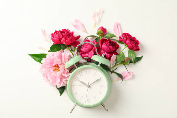 istock Flat lay composition with beautiful peonies and alarm clock on white background, space for text 1152843100
