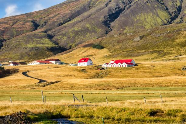 istock Typical Icelandic landscape between Vik and Joekulsarlon in Iceland 1152843114