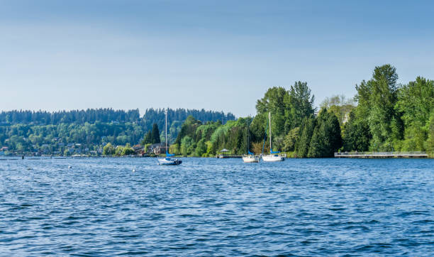 istock Sailboats On The Lake 1152851800