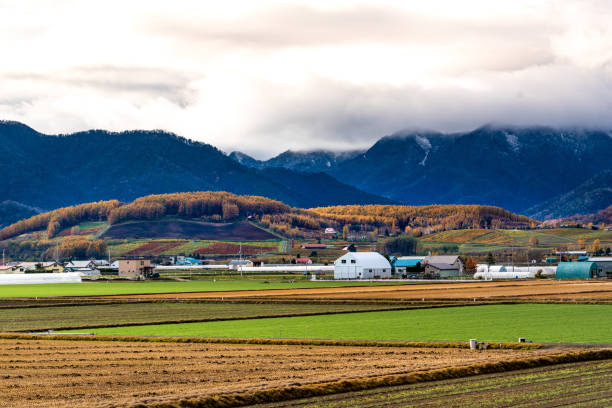 istock Autumn hilly areas and mountain range 1152855996