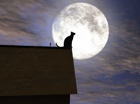 3d illustration of a cat on a roof with the moon in the background
