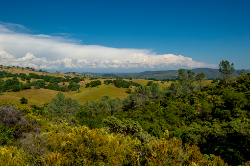 California Gold Country, foothills of the Sierra Nevada.