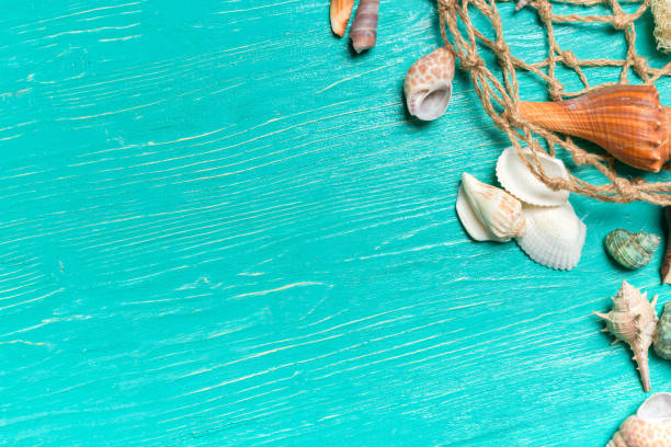 istock Seashells On Blue Wooden Background 1152862751