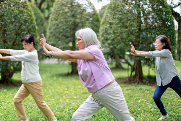 istock Senior ladies doing exercise in the park 1152864047