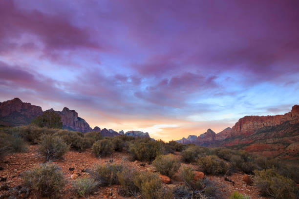 istock Sunset at Zion National Park 1152866901