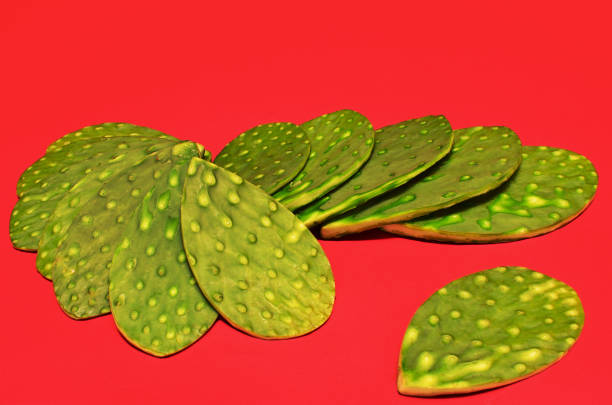 pile of nopales on red background