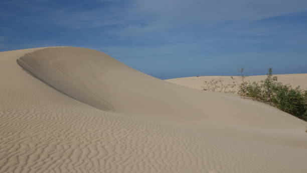 istock Beautiful Patterns in the sand with an interesting blue sky with some clouds in the Natural park in Corralejo Fuerteventura Spain 1152868078