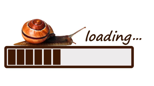Slow brown progress bar with snail. Illustration on white background.